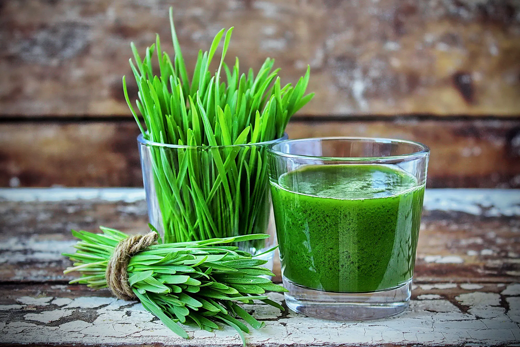 The Ultimate Guide to Wheatgrass Powder  Benefits, Uses & Why Herbaleco Stands Out.