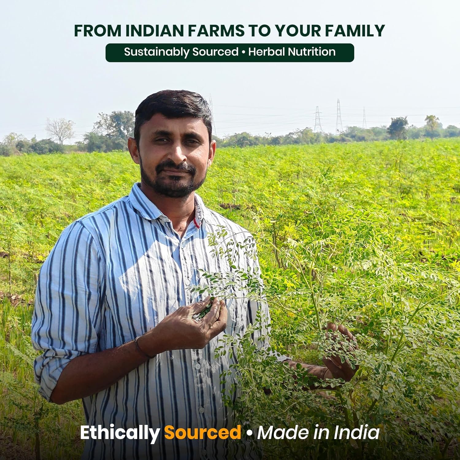 HerbalEco Moringa Leaf Powder 200g | 100% Pure Moringa Oleifera Leaf Natural Superfood for Energy, Immunity & Wellness | Nutritionally Rich in Vitamins & Minerals | Non-GMO, No Preservatives, Eco-Friendly - Image 8