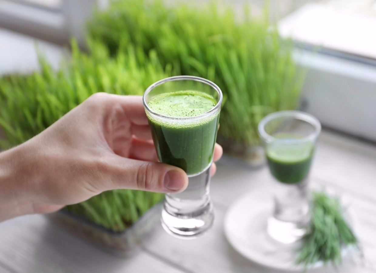 Wheatgrass for Skin & Hair Health: Glow Naturally with Herbaleco