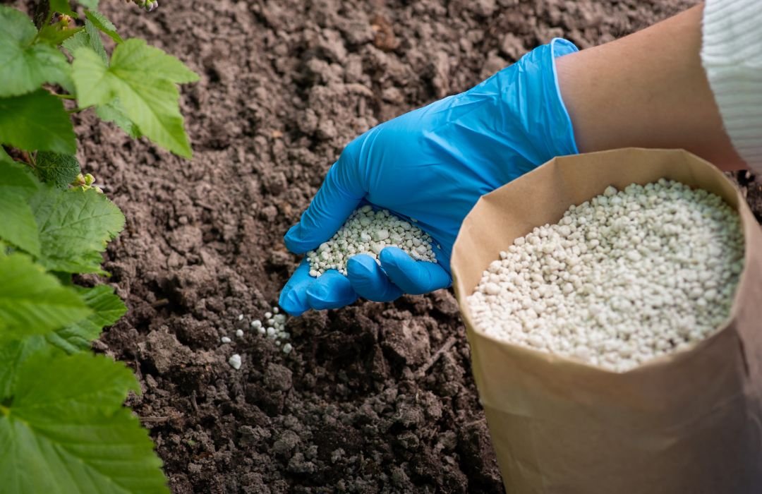 Organic Fertilizers: Types, Benefits & How They Improve Soil Health (2026 Expert Guide)