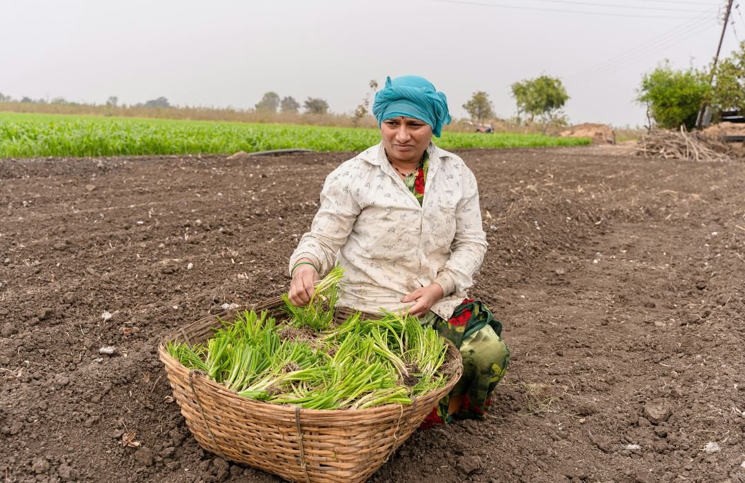 Step-by-Step Guide to Starting an Organic Farm Business in India (2026 Edition)