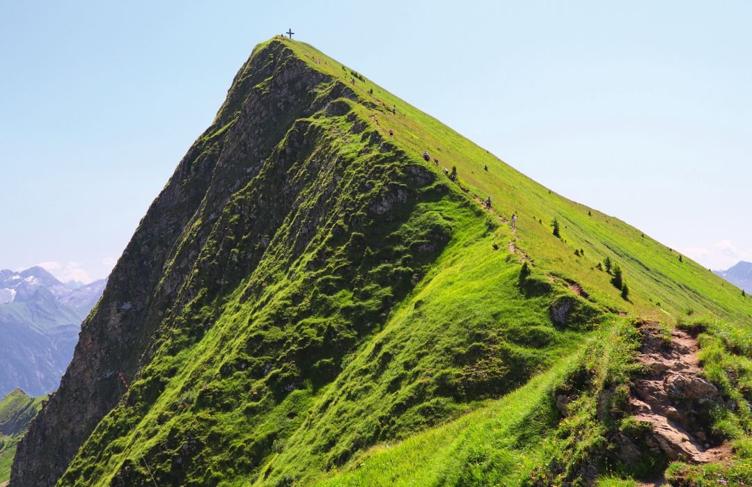 Top 10 Reasons Herbaleco Superfoods Deliver Better Results Than Market Alternatives (2026 Expert Guide)