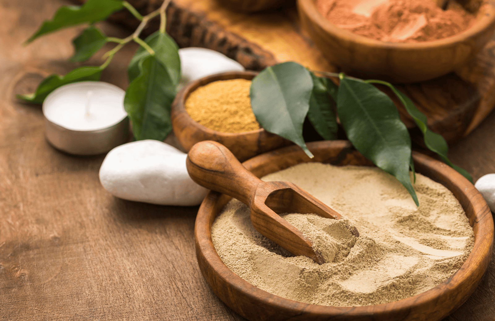 Ashwagandha: The Ancient Ayurvedic Superfood for Modern Wellness