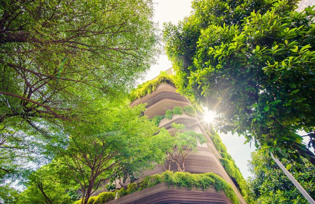 Organic Farming: The Future of Sustainable Nutrition and Healthy Living