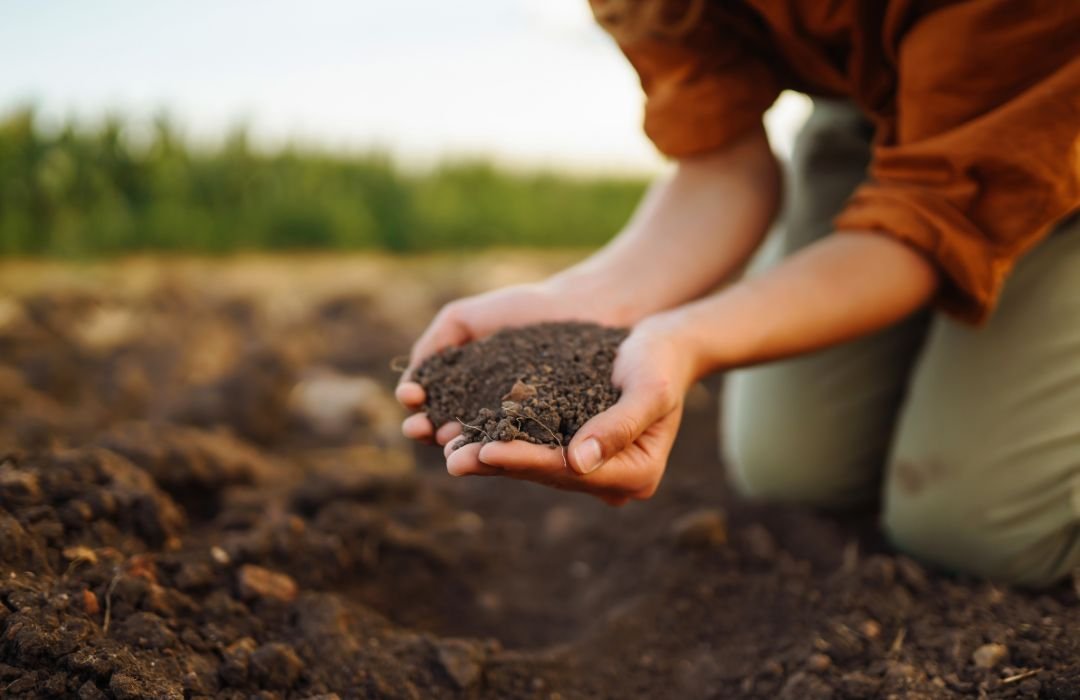 Top 20 Benefits of Organic Farming for Soil, Health, Environment and Economy (2026 Guide)